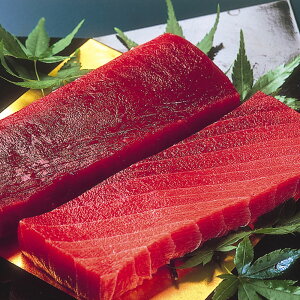 É VR܂ Ԑg  Ƃ Ab ܂ ~i~}O }O ~i~}O VR܂ VR}O ܂ }O hg }O g Ⓚ }O g }O Mtg ܂ Mt