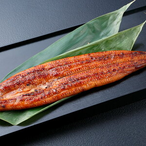 Ȃ≮̑܁@YVăZbg Mtg v[g b Mtg  JȂ炵 Jȕ炵 Luruspot