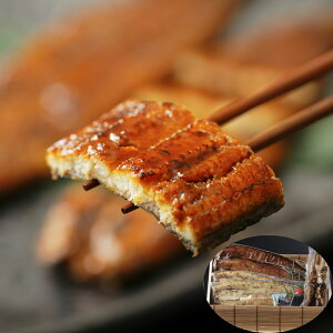 l΂Ȃ lߍ킹i|j×2A×2Ȁ×2A×2Aĉ×2A킳×2AR×2 Mtg v[g b Mtg JȂ炵 Jȕ炵 Luruspot