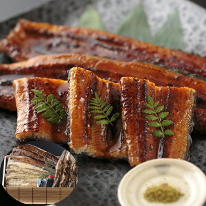 y11/20`X܂ƂߔPő10{zl΂Ȃ lߍ킹ij×3A×3Ȁ×3A×3Aĉ×3A킳×3AR×3 Mtg v[g b Mtg  JȂ炵 