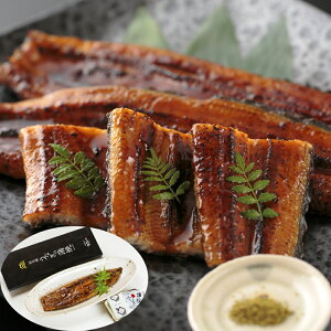 l΂Ȃāiāj×1A×1AR×1 Mtg v[g b Mtg JȂ炵 Jȕ炵 Luruspot