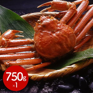 �{�C�����킢���Ɏp 750g×1�t �������厩�R�Ɉ͂܂ꂽ�J�i�_������{��̖��B �b �M�t�g �������� ���J�Ȃ��炵 ���J�ȕ�炵 Luruspot