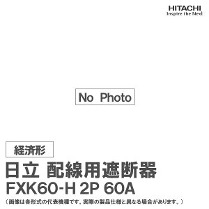 ���� �z���p�Ւf�� FXK60-H 2P 60A