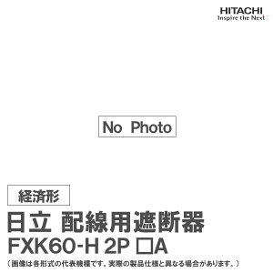 ���� �z���p�Ւf�� FXK60-H 2P ��A