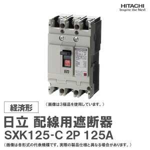���� �z���p�Ւf�� SXK125-C 2P 125A