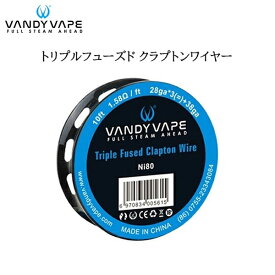 Vandy Vape Triple Fused Clapton Wire Coil NI80 28ga ×3 38ga 1.58ohm 10ft 電子タバコ VAPE