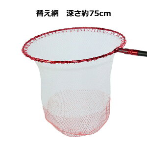 ֖ [ 70cm 75cm ^ ^} ֖  ނ ދ