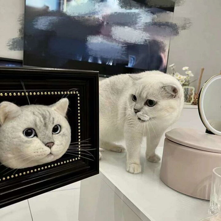 楽天市場】犬 猫 オーダーメイド 人形 お顔 植毛可能 ペットドール