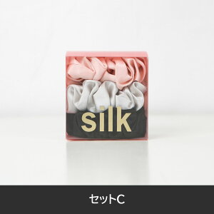 VN VV wAS 3{Zbg 100VN 19 L 35mm wAANZT[ Ղɂ ɂ₳  Mtg{bNX v[gp  l킢 i