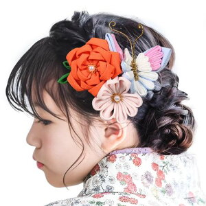 [OTAKUMARKET]���܎O������753���Ǝ����l�����ߔ�����Ԍђ����U���a�����Ǝ���t���܂ݍ׍H���̎q�q���w�A�A�N�Z�T���[�N���b�v4�^�C�v(C�I�����Wx�s���Nx�u���[)