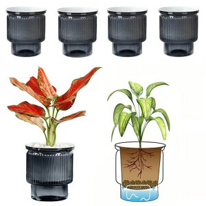 Coolloodav^[4Zbgʋd\ʒtЂtrOfXNLb`gC֎A؊ϗtAԃJN^Xpn[uԔ͔|Kpc