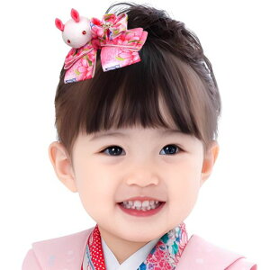 [OTAKUMARKET]܎O葲Ǝу{ߘa߃Nbv킢wAANZT[܂ݍ׍HPi5J[(sN)