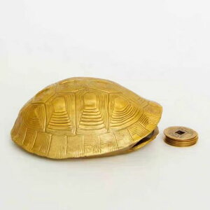 S[hT̊kA肤AAeB[NAÑKtA^ANZT[ACeAuAObY