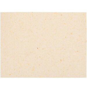 NOLITOY�q�[�g�v���X�}�b�g�X�|���W�f�M�p�b�h15.00x11.42x0.39�C���`�ϖ��Ր��N�b�V����1�������蓮�]�ʋ@�Ή��q�[�g�v���X�@�p