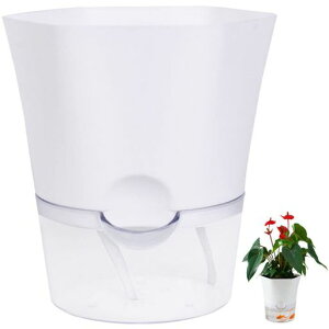 OUNONAAؔv^[v^[z[vt2d\pt~`ϗtAn[uԍ͔|KpvX`bNpx_傫