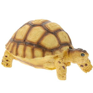 POPETPOPT1঒ނ̑ȋTtBMAANZT[TIuWFz[WNtg}CNV[I[igƒ냂f}J