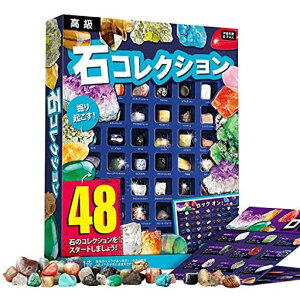 XXTOYSzΕW{48VRzΕ΂ΕW{NX}Xv[gbN&~lRNVWFXg[nȊwLbg48ZbgAWXgqMtg({)