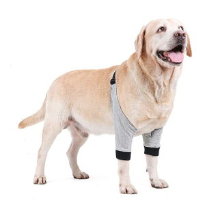 pnrpiьppnrCp֐߃veN^[GT|[^[쌢ybgT|[^[\bNX_炩ybgpbOEH[}[̉pi^^^c