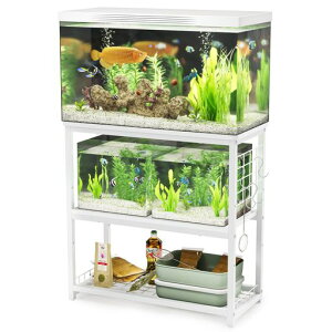 DEWELIX^hbNEbhfRX^hOiItbNtω׏d120kgX`[KтɂVFtAWX^[t65xs30cmp(zCg)