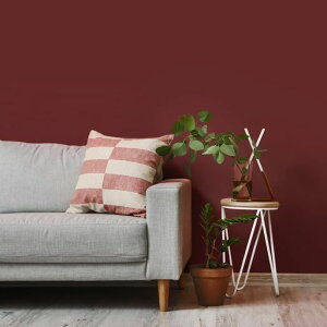 CHIHUTnǎV[胊CNV[gԓF45x260cmǎǎӂ܎_CmbNV[gNXǎkprϔMV[gprȂhOKCec