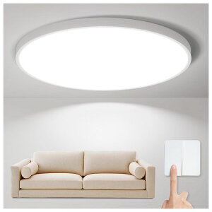 AntreeLEDV[OCg22W6p3000lmɔ^&ȃGlFVƖledCgdCuXCb`őCeilingLight46Q[[/rO/Q//qKp-
