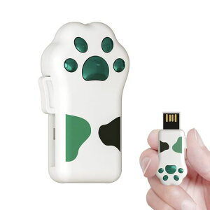 BiliousUSB킢L̑tbV^e32GBXChUSB2.0JtϏՌhho()