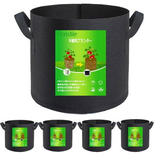 sDzv^[͔|ܕzAؔsDz|bg3K525cmx24cm810bgyƒ؉؍͔|ܕzܕz(3K5)