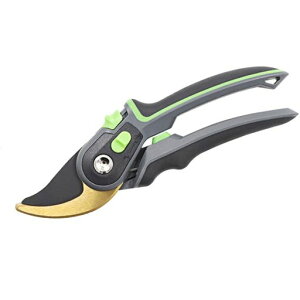 oT~΂݊K߉\Yf|A~}؂oT~|nT~p|p͂