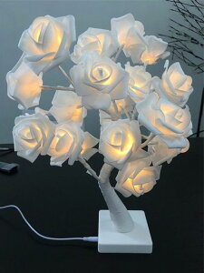 YuumingLED[YCgLEDe[uCg24gLEDUSBуobe쓮z[p[eB[ao^Cf[tFXeBop45cm(WhiteRose)