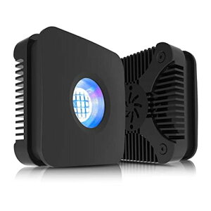 LominieANAECg30WTSLEDCg\RNbvledC^Cg