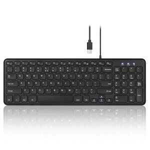 Perixx(�y���b�N�X) PERIBOARD-213C �L�[�{�[�h Type-C �T�C�����g�N���b�N�p���^�O���t�L�[�^�C�vC 39.8 x 16.5 x 3 cm �R���p�N�g�f�U�C���e���L�[�t�� - �u���b�N - �p��z��L�[�{�[�h