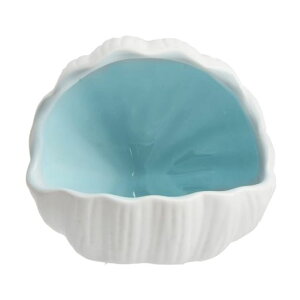 AnRui킢كfR[VZ~bNLk^nEXe[}ʃx^ANZT[I[igBƓAVтBƗpAu[