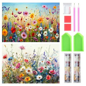 TRX_Ch̊G_ChA[gLbg2ZbgɂԂꂩSʓ\tnhChSDIYԎ|LbgƂ̑(A)