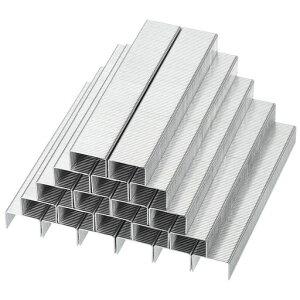 PATIKILXe[v23/8Xe[v[p440005/16hrWtbgN``[|CgXe[vItBXfXNgbvz[piVo[