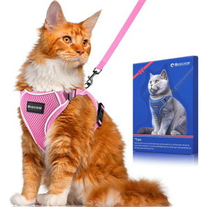 LLpn[lX[hL[v[hLn[lXL\ȒPhВyʏ_炩fގ֓֔ˍގUpoxXg˂lR\tgĊPݖh~tt(sc