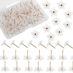 YOUOWOesт傤EsvX`bNvbVsƂ߂傭110eŒph[COlCYiB[P[Xt(ق)