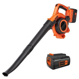 ubNAhfbJ[(BLACK+DECKER)2in1R[hXu[oL[K[f_Ɖ|p@핗ߋ@\eco[h36V2.0AhGWC36N