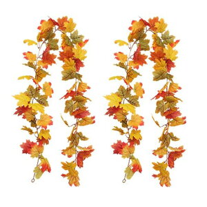 DIFEIUKI̗tgtԃK[h2{ZbgJGf̗tlHϗtAHBeDIYCxCeAgF㌋ӍՃnEBNX}XS175cm/{