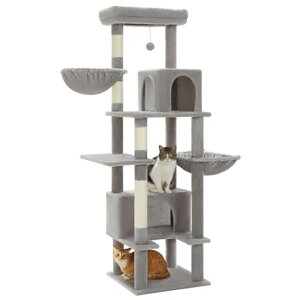 PAWZRoadLbg^[^LpXL^[^܌RnbNuȃXy[XlCꂩ킢Vv^s^L-O[170cm