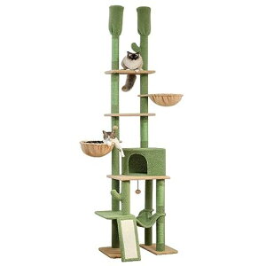 PETEPELA(؃e؃)Lbg^[˂XT{eRpNgςnbNx3܌߂ƂȃXy[X^sVv킢-O[21c