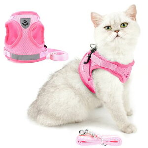 RANPHY猫用ハーネスリードセット抜けないかわいい犬猫兼用はーねす反射テープ付きおしゃれ胸あて式足を上げず装着完成子猫犬用ハーネスくびわ軽量通気メッシュ装着簡単サイズ調節可脱…