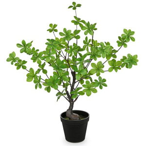 VillaComotFCNO[AlHϗtA55CMhE_ccWCeAO[Ԃ₷svQ쏜svƒItBX