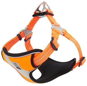 cocomallSypn[lXpփhbOybgpion[lX3MˍޗPiC^A^A^ɌʋC߉\(SIW)