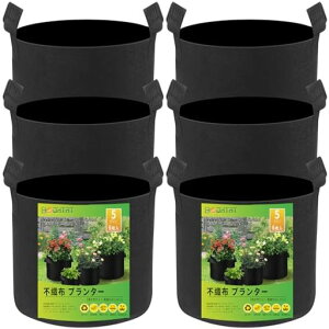 6ZbgsDzv^[5K͔|܃|bgztFgA(a30cmx25cm)|A琬؍͔|ƒ؉ɍœKł-BODHTAT