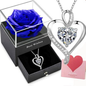 [Willuck]lbNXfB[XlCVo[925silvavU[uht[pMtgỉԃlbNXpMtgKNWG[␻WRjAn[g`y_g͂Ȃc