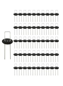 UsYەtR^Œs}shV[g_ƃK[f(bLA15cm50{Zbg)(15cmx3cmx15cmVo[)