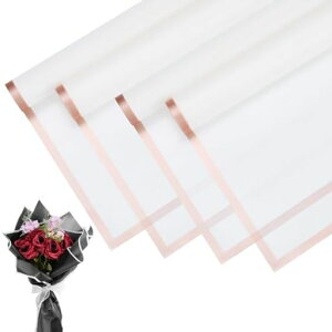 MMETERXITY20V[gԕu[P23C`zCgS[hGbWBOPPhԕt[pbP[WDIYEFfBO/p[eB[/a/Mtgu[PbsOy[p[