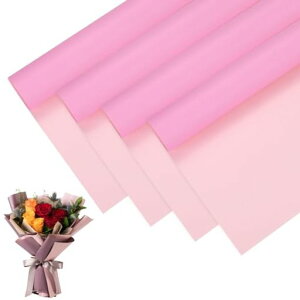 MMETERXITY20V[g̉ԑpbsOy[p[23C`̗ʃsN&CgsNBOPPht[bsOy[p[ԕDIYEFfBO/p[eB[/Mtgu[Pbvy[p[