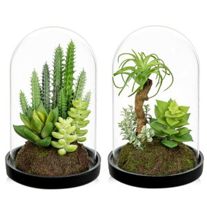 VillaComotFCNO[CeAO[lHϗtAAT{e㔫A^GAvce[ufR[VԐVzjJXjVNNX}XItBXXc