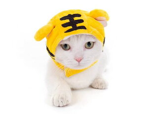 (gVO)LittleThingLԂ̃RXvACeϐgЂ܂_炩S9(L(܂37-45cm))